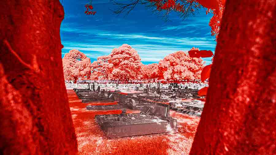 Woronora Memorial Park - Infrared Photography