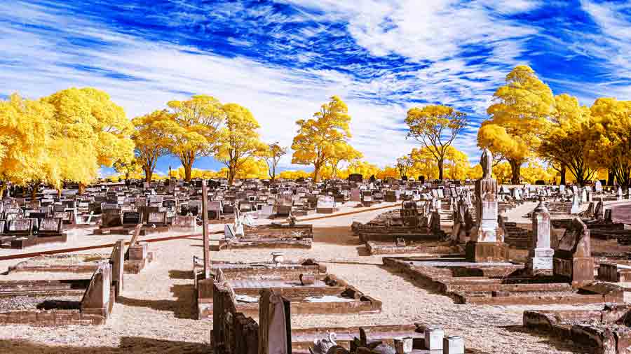 Woronora Memorial Park - Infrared Photography