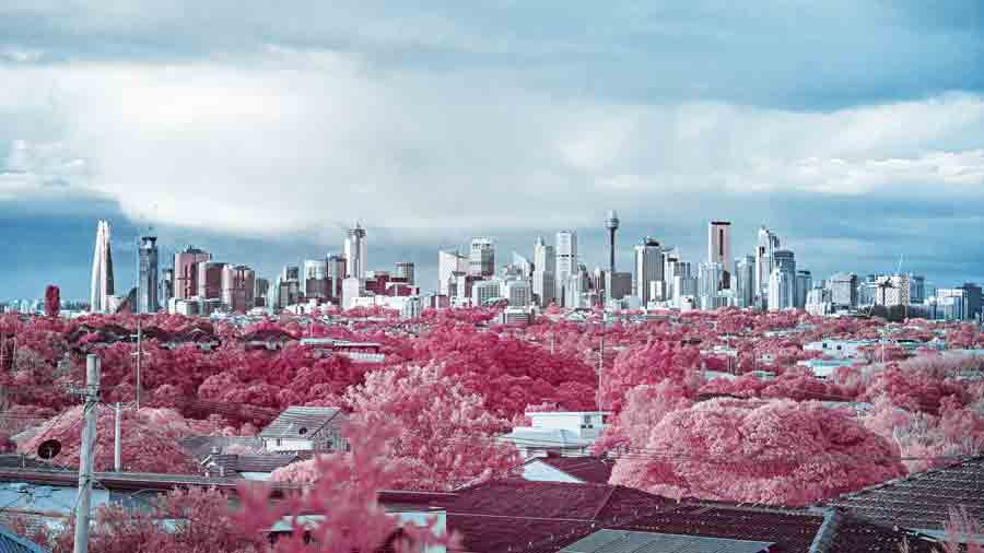 Sydney CBD from Western Suburbs - Infrared Photography